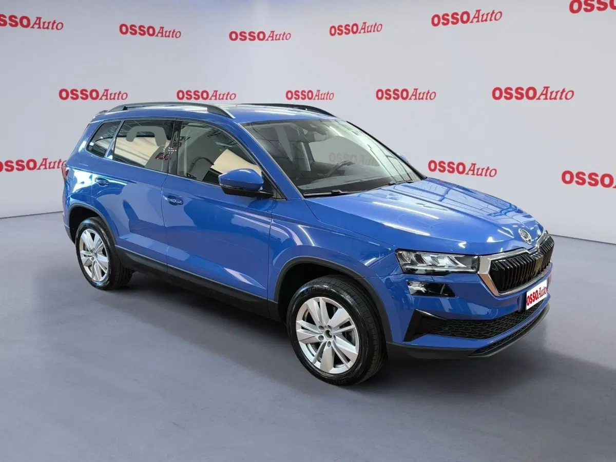Skoda Karoq usata a Udine (2)