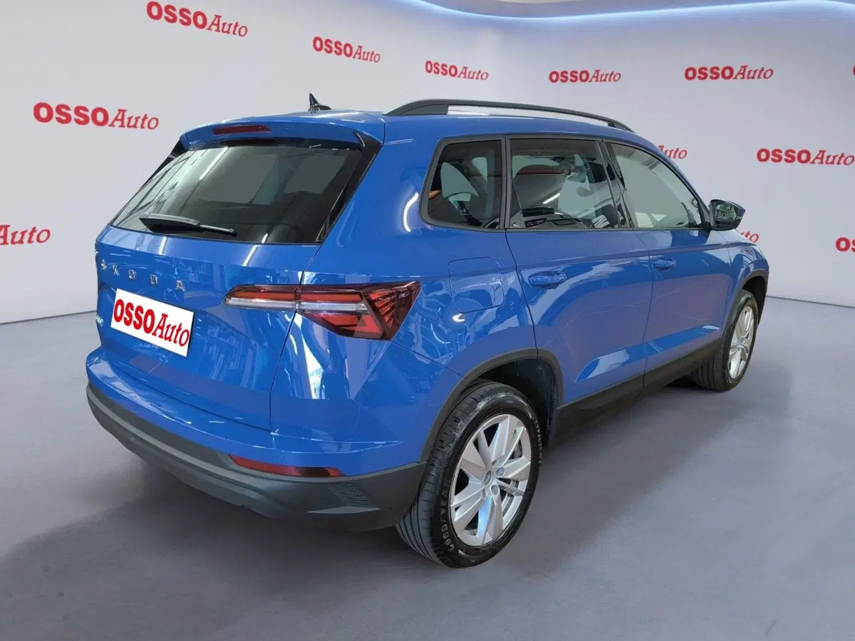 Skoda Karoq usata a Udine (3)