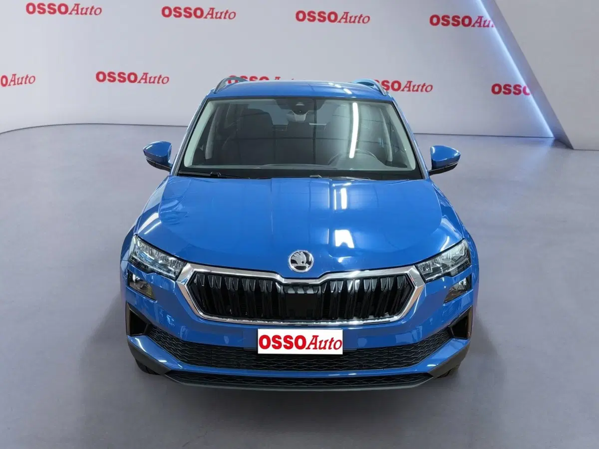 Skoda Karoq usata a Udine (5)