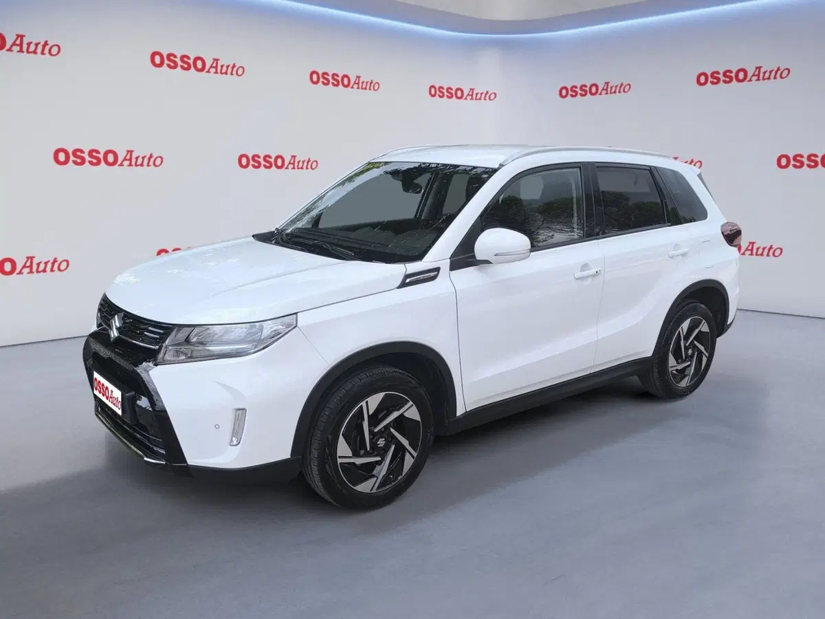 Suzuki Vitara usata a Udine