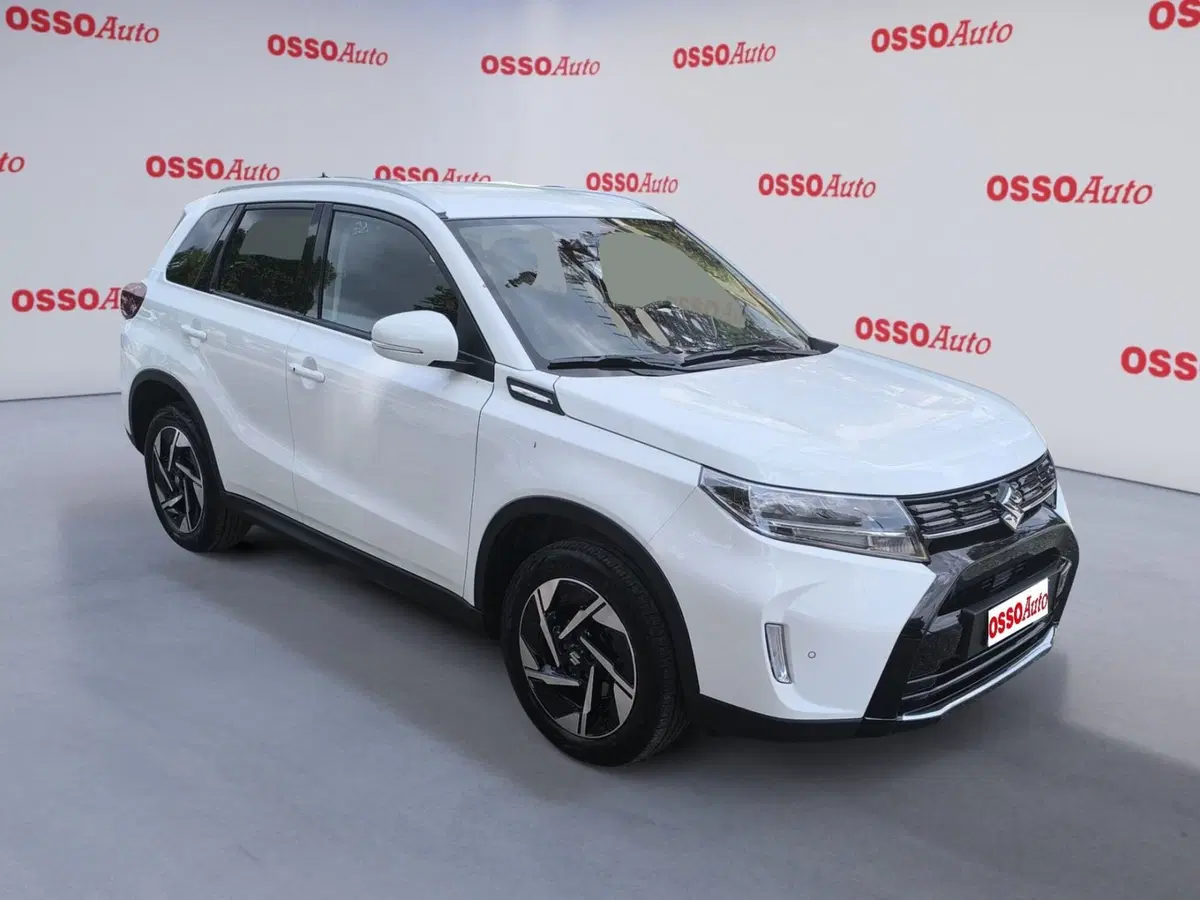 Suzuki Vitara usata a Udine (2)