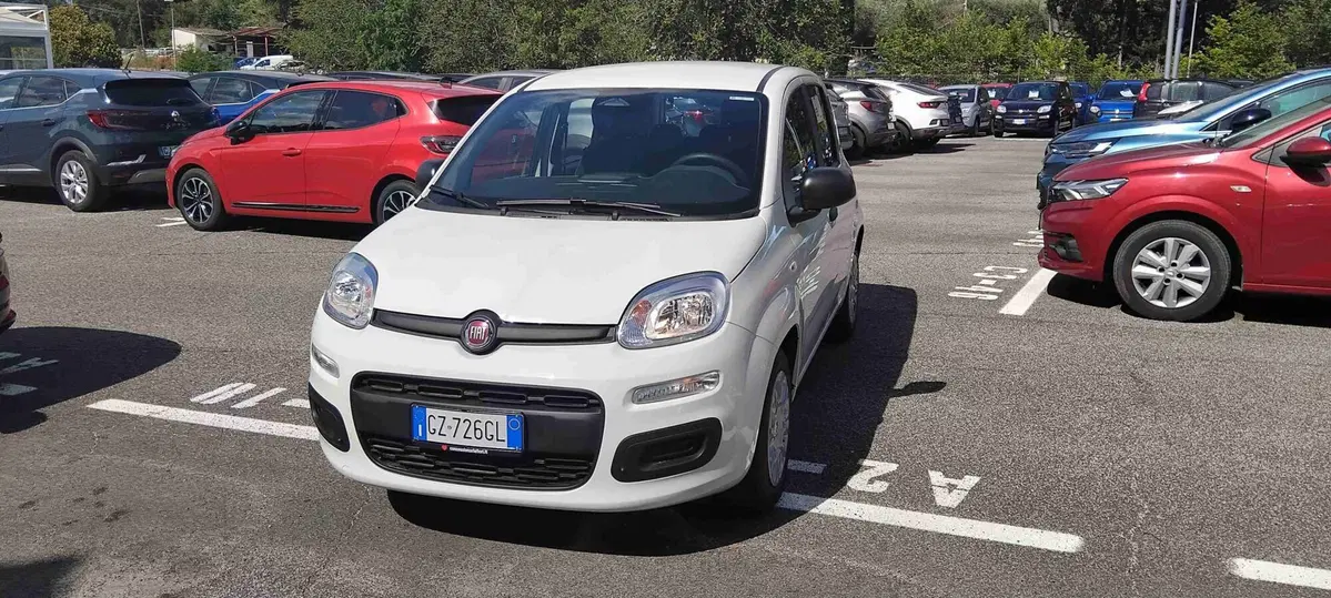 Fiat Pandina usata a Roma