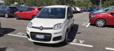 Fiat Pandina 1.0 firefly hybrid s&amp;s 70cv del 2025 usata a Roma
