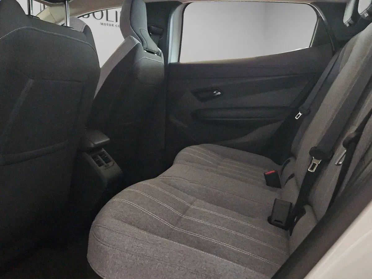 Renault Megane E-Tech Electric usata a Perugia (10)