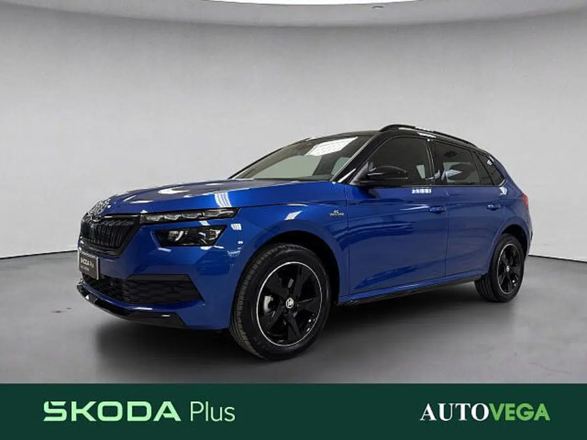 Skoda Kamiq usata a Vicenza (2)