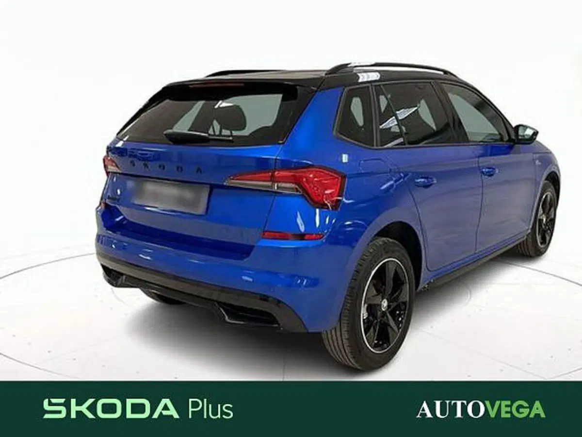 Skoda Kamiq usata a Vicenza (7)