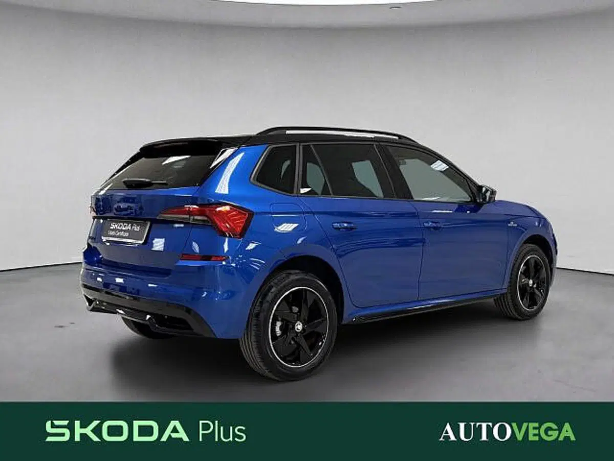 Skoda Kamiq usata a Vicenza (8)