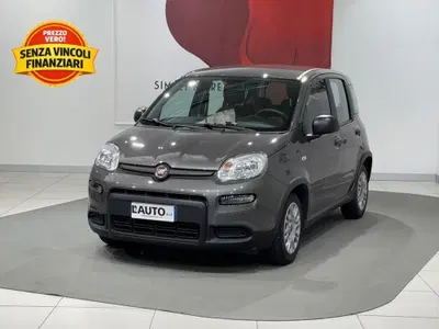 Fiat Panda 1.0 firefly hybrid s&amp;s 70cv 5p.ti del 2023 usata a Montagna in Valtellina