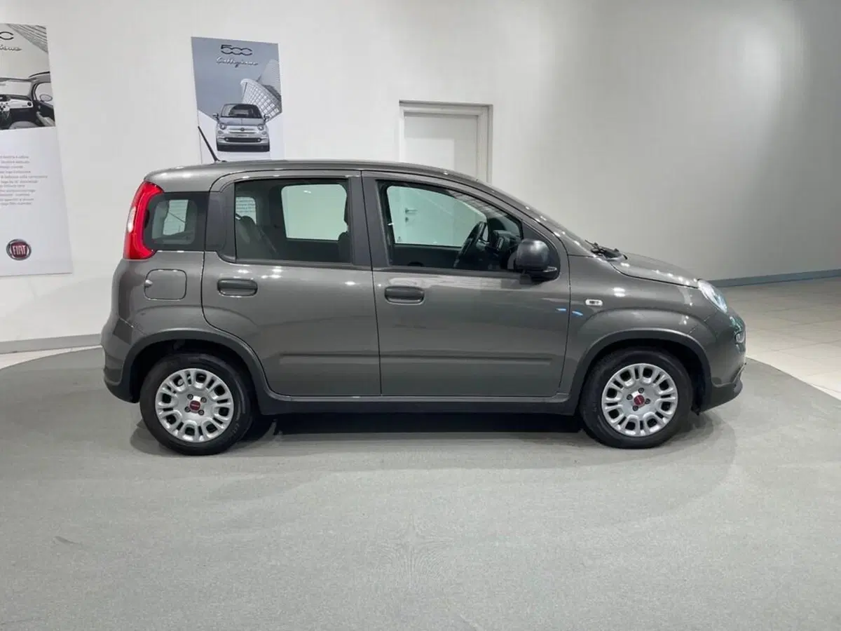Fiat Panda usata a Sondrio (2)