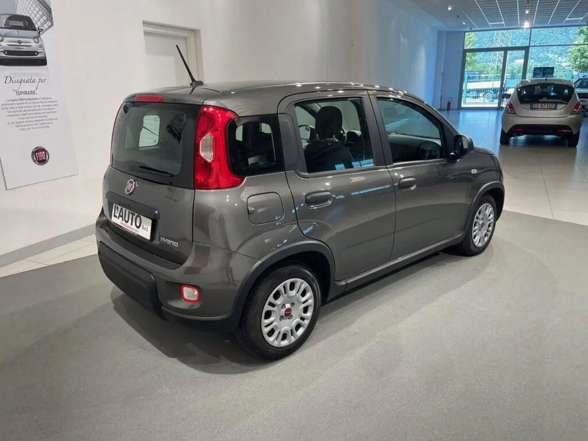 Fiat Panda usata a Sondrio (3)