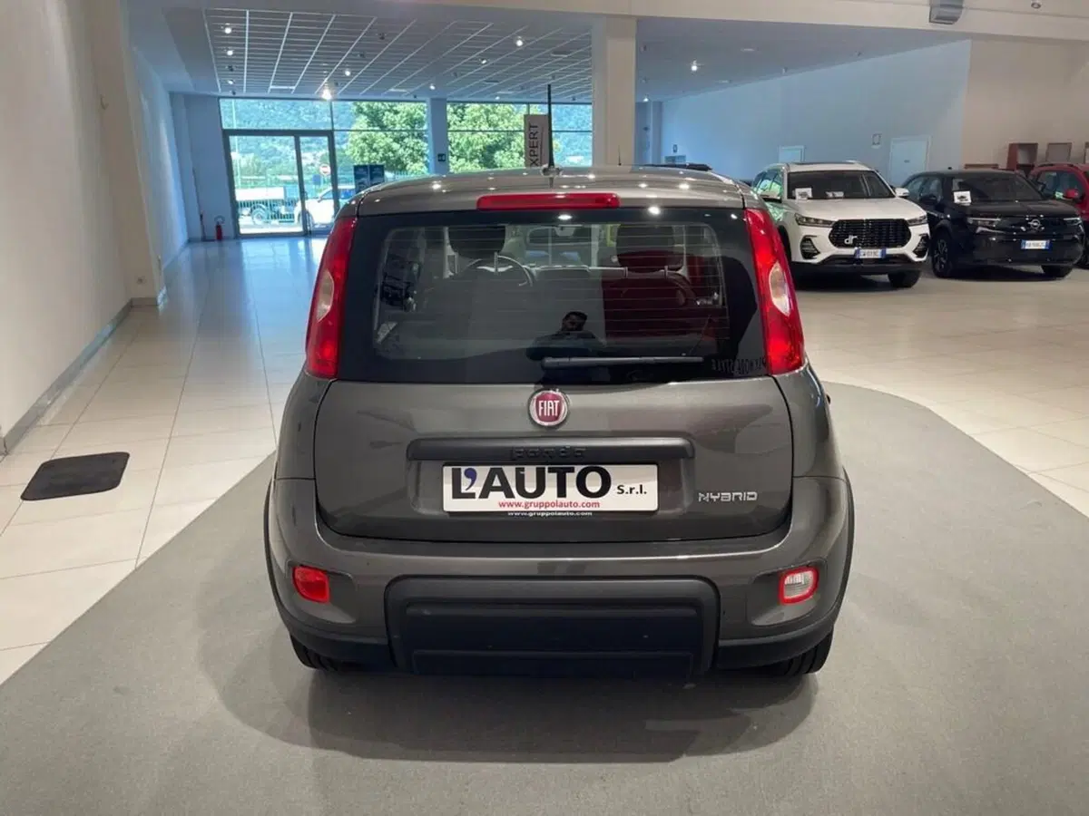 Fiat Panda usata a Sondrio (4)