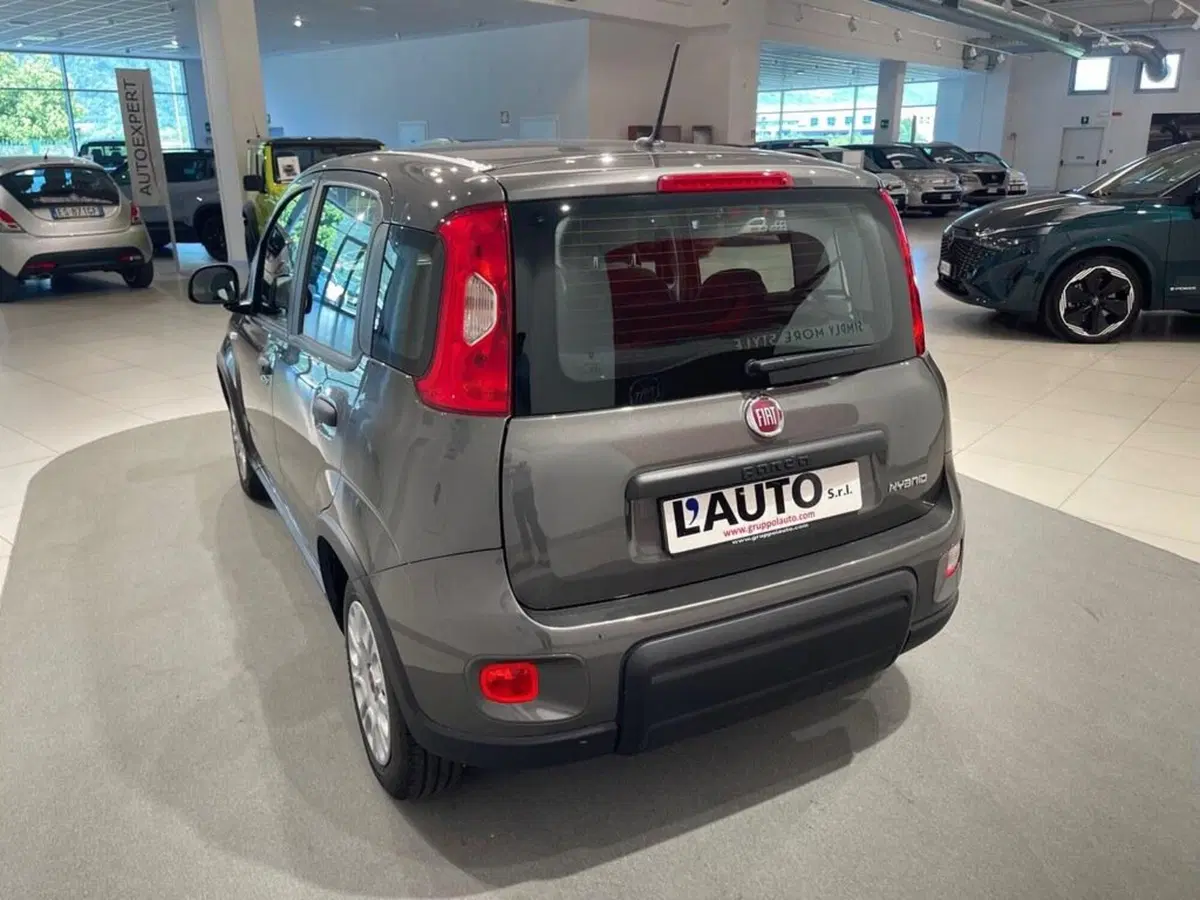 Fiat Panda usata a Sondrio (5)