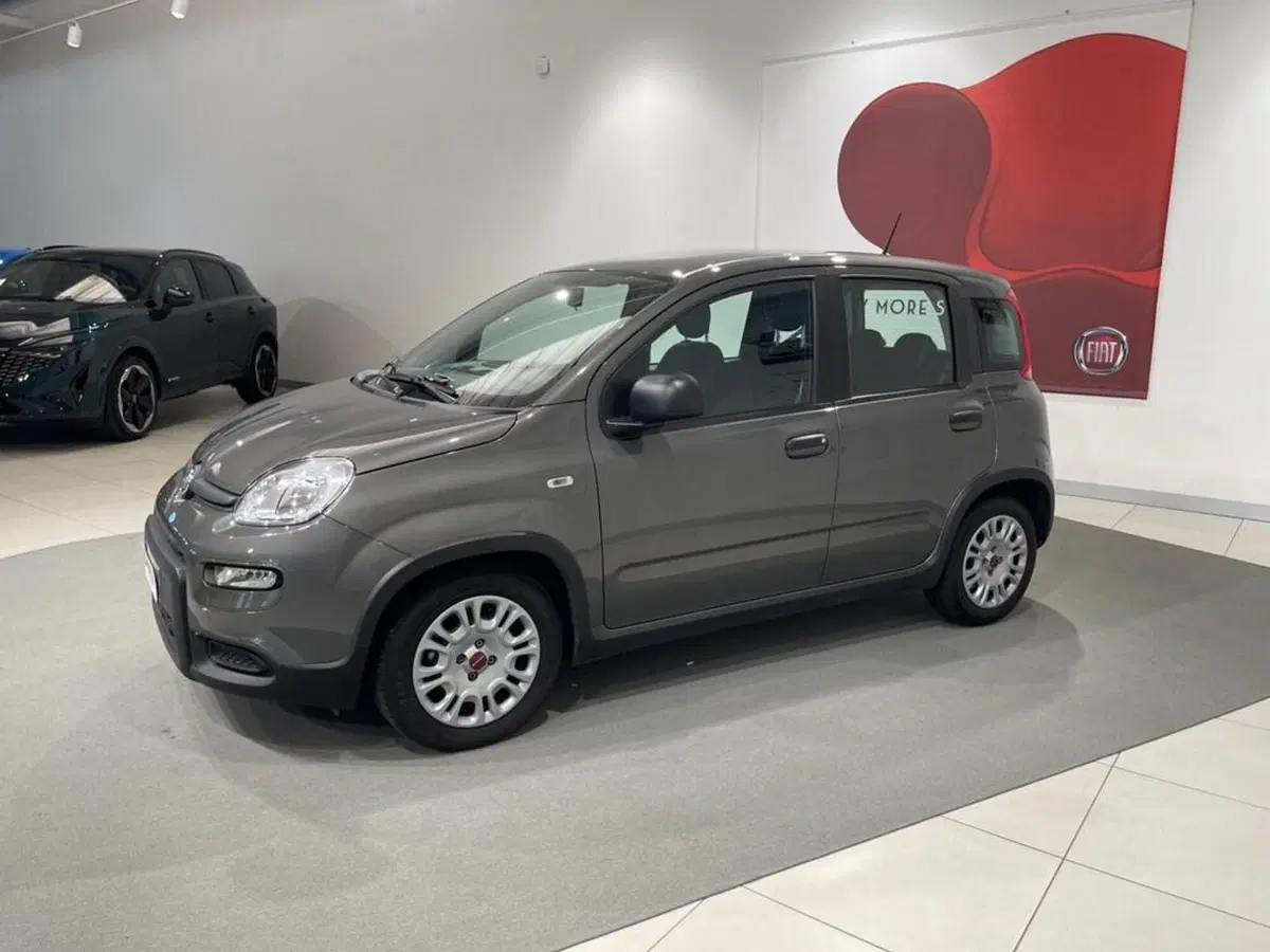 Fiat Panda usata a Sondrio (6)