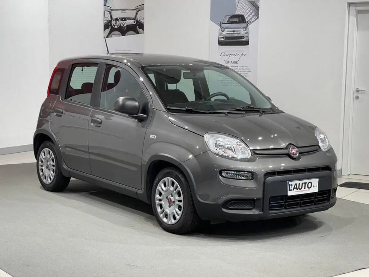 Fiat Panda usata a Sondrio (7)