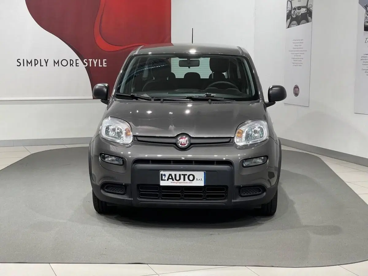 Fiat Panda usata a Sondrio (8)