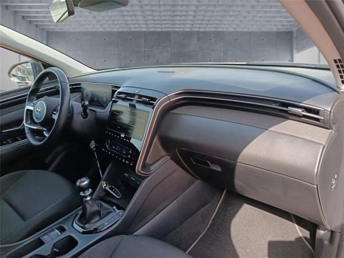 Hyundai Tucson usata a Bari (11)