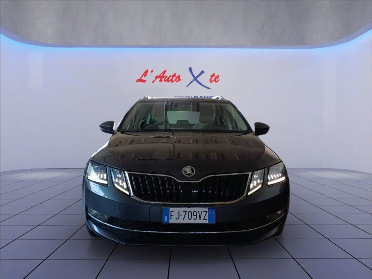 Skoda Octavia Station Wagon usata a Milano (2)