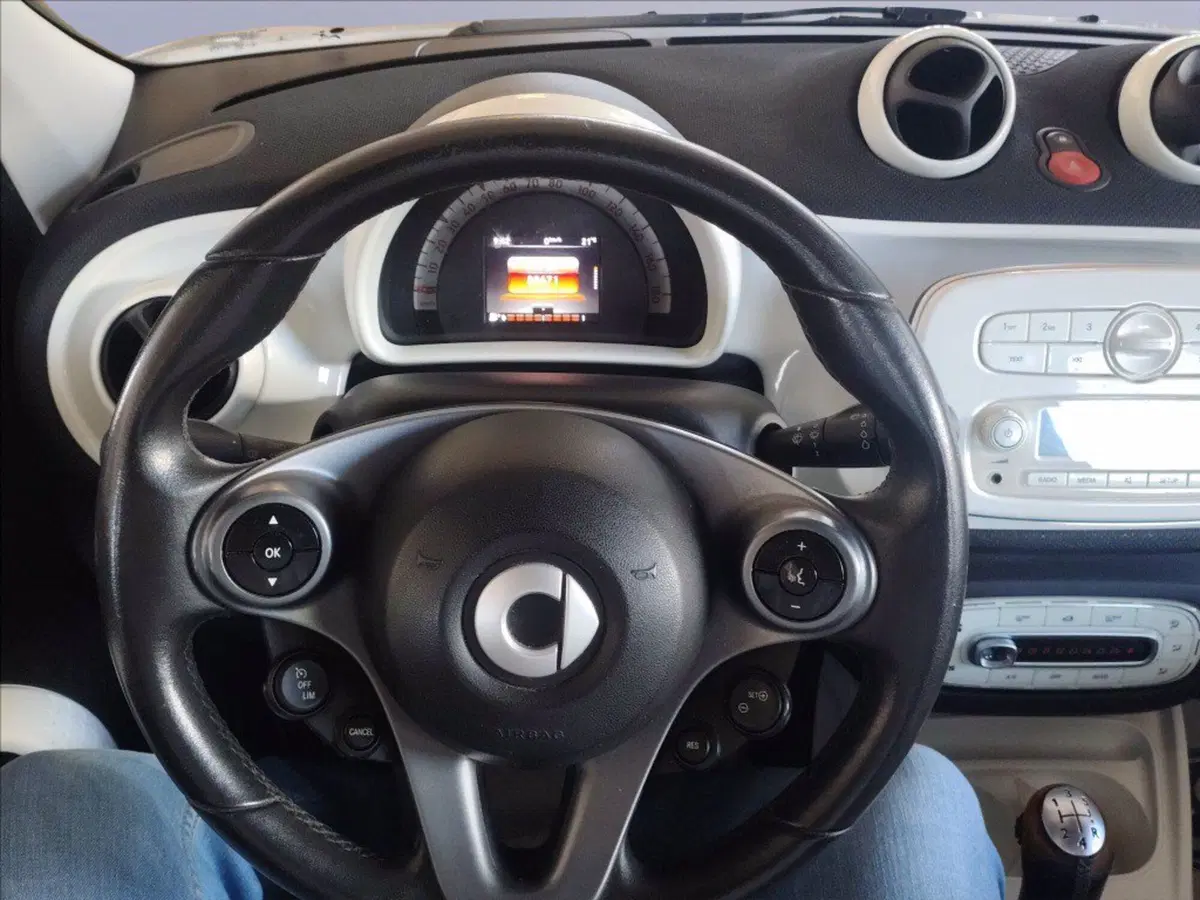 smart forfour usata a Milano (10)