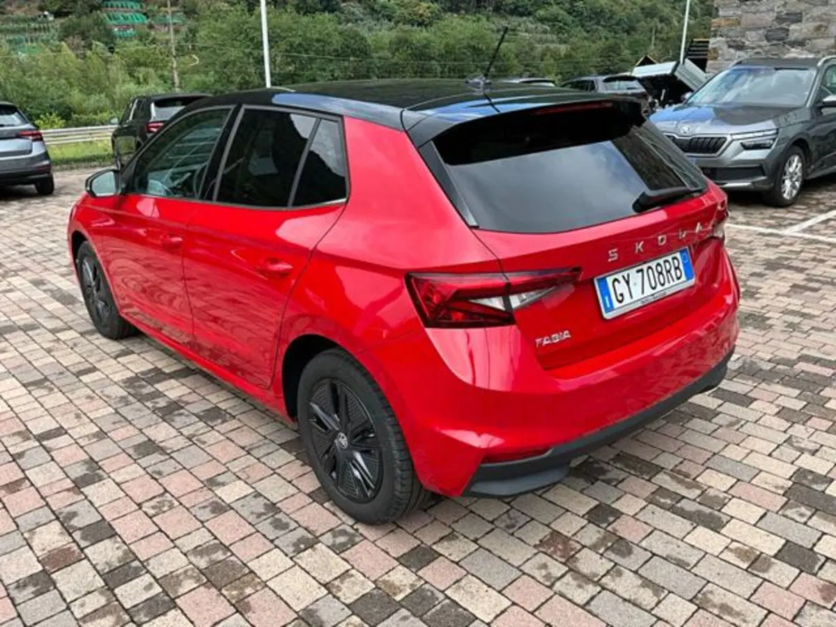 Skoda Fabia usata a Sondrio (10)