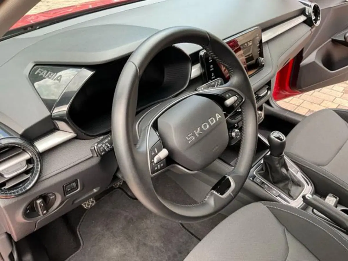 Skoda Fabia usata a Sondrio (11)
