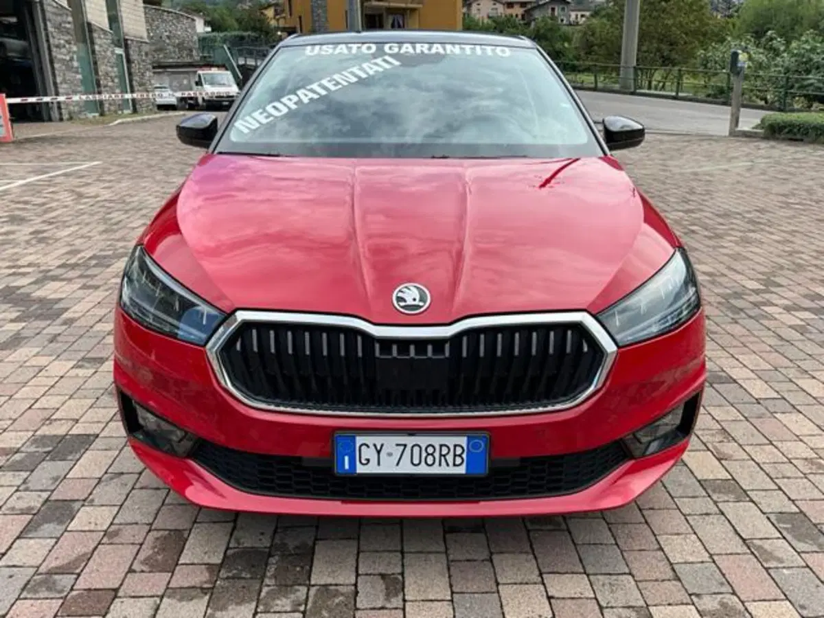 Skoda Fabia usata a Sondrio (2)