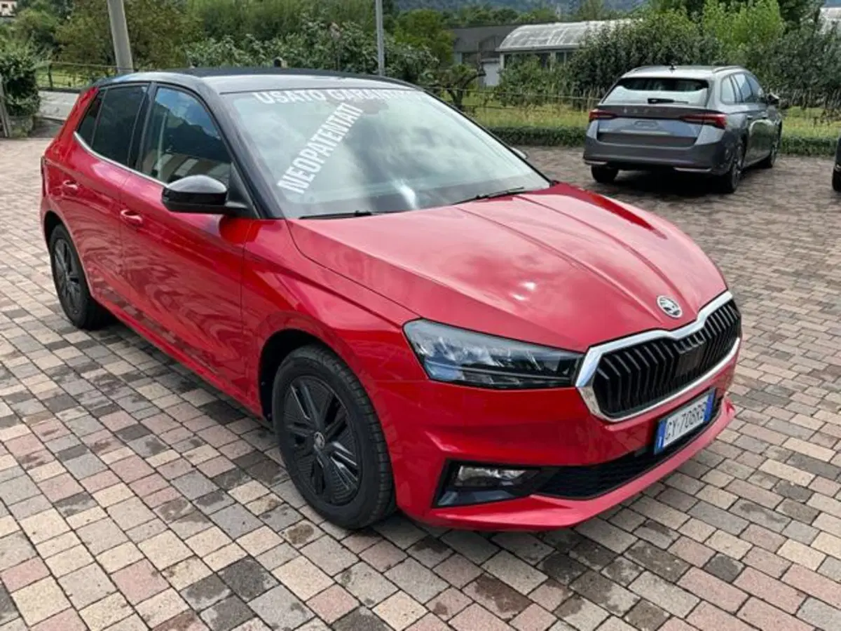 Skoda Fabia usata a Sondrio (6)