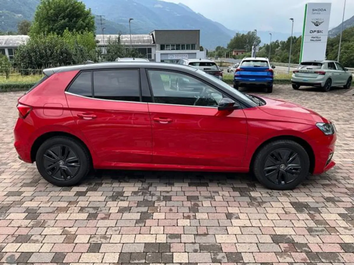 Skoda Fabia usata a Sondrio (9)
