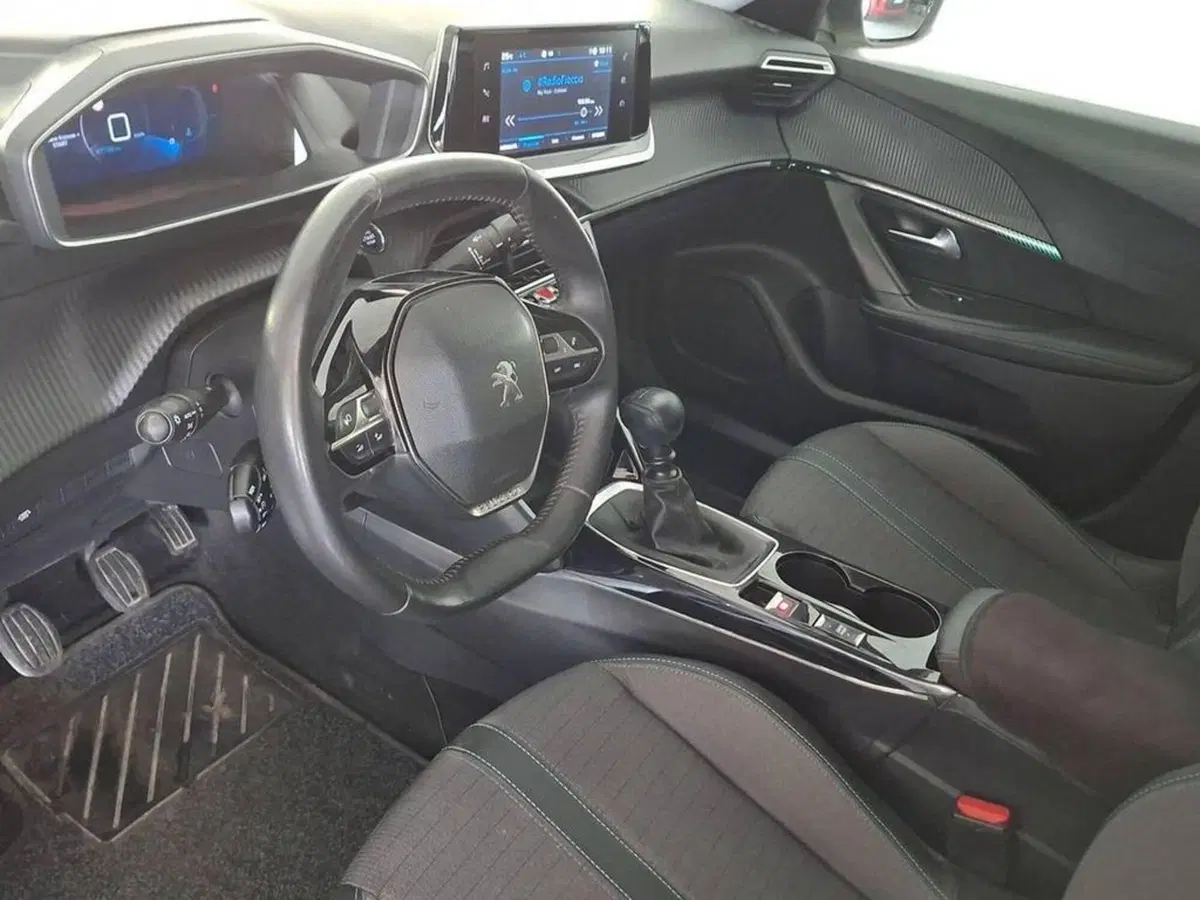 Peugeot 2008 usata a Torino (9)