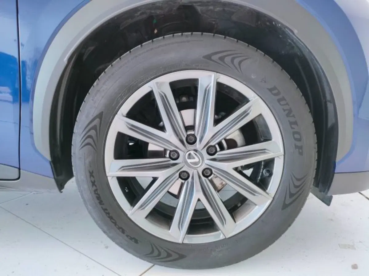 Lexus LBX usata a Teramo (10)