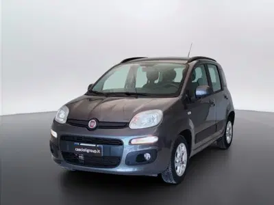 Fiat Panda 1.2 Lounge del 2018 usata a Mosciano Sant'Angelo