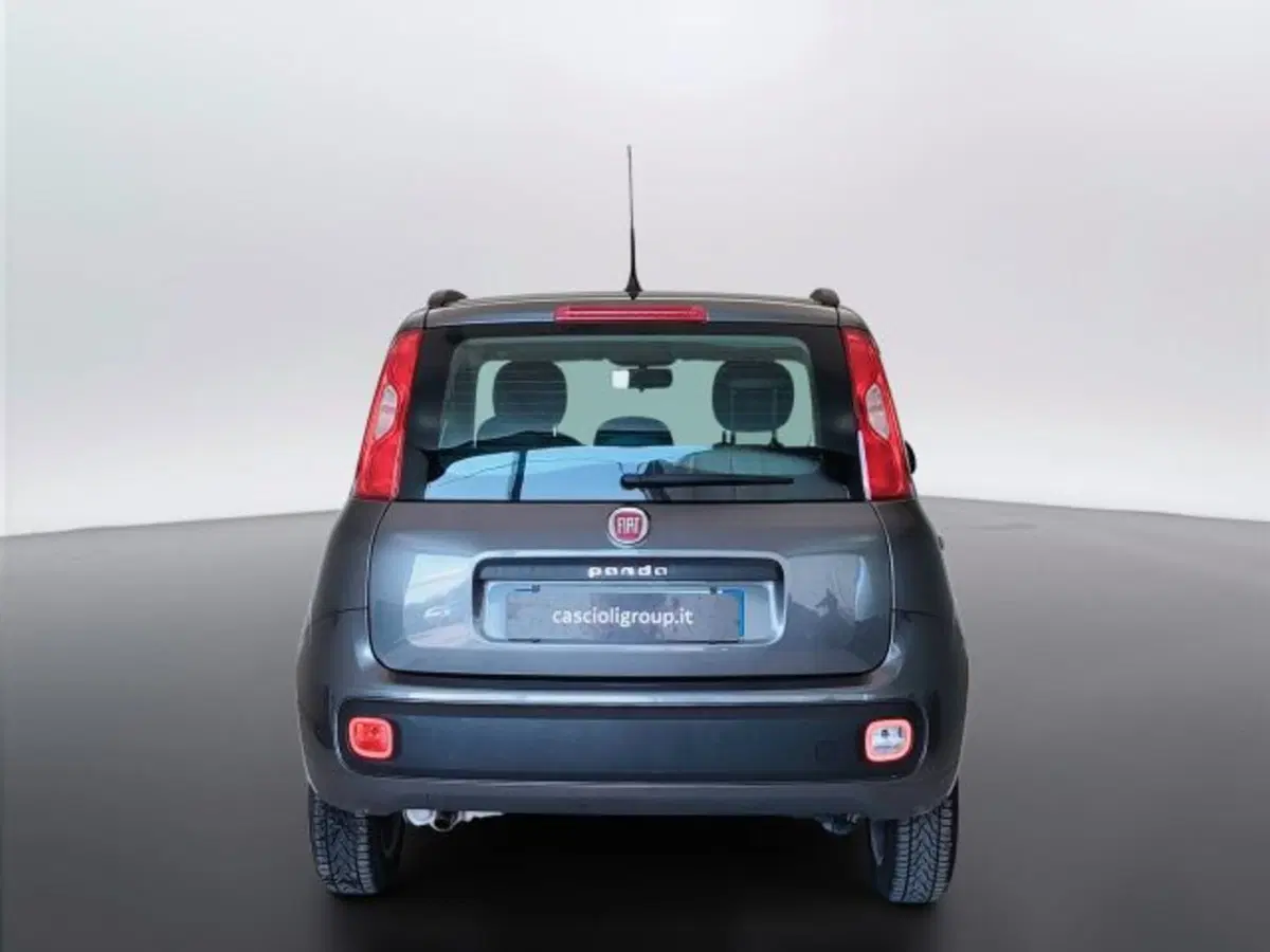 Fiat Panda usata a Teramo (6)
