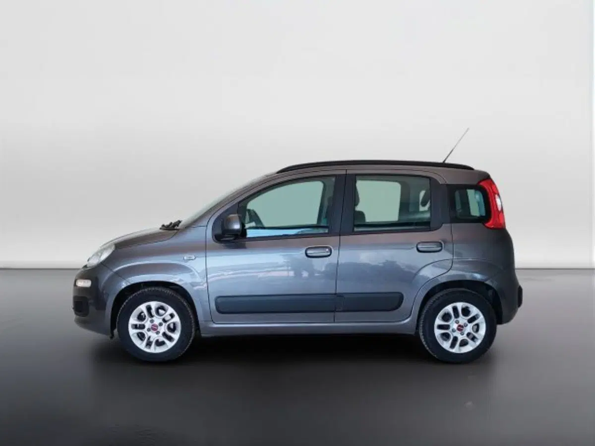 Fiat Panda usata a Teramo (8)