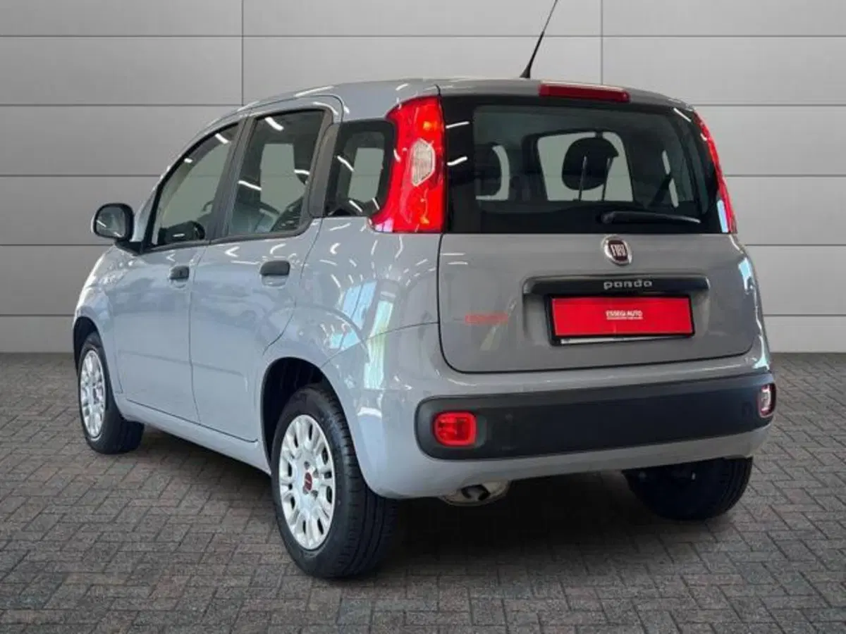 Fiat Panda usata a Vercelli (5)