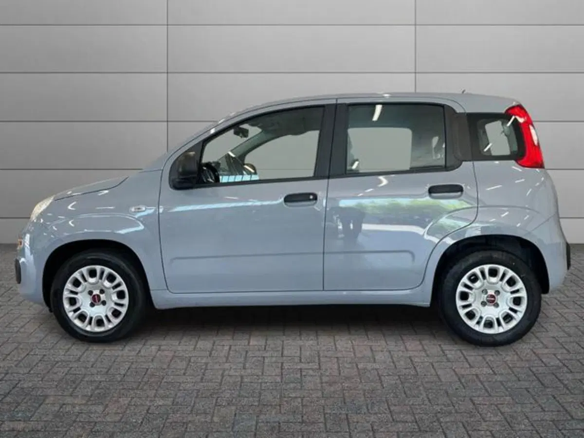 Fiat Panda usata a Vercelli (6)
