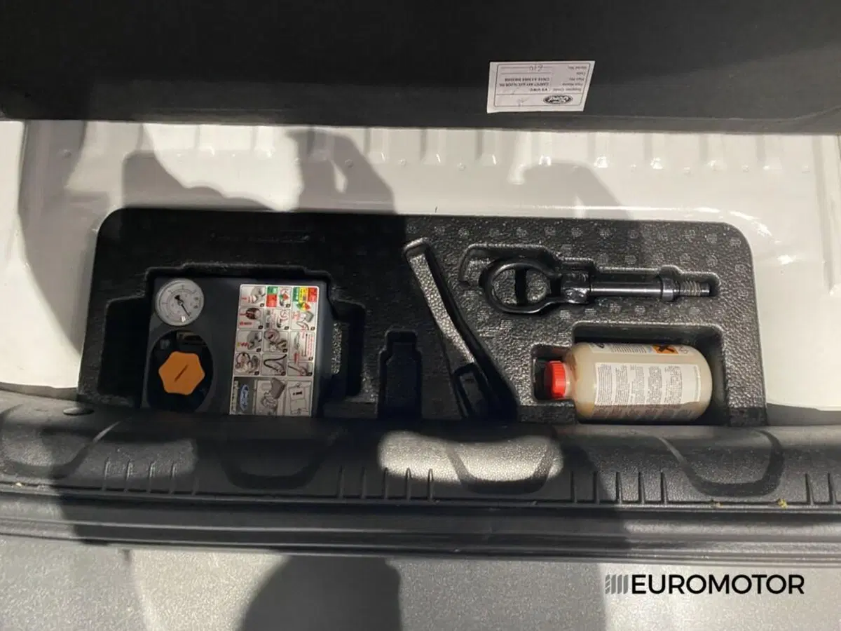 Ford EcoSport usata a Bari (15)