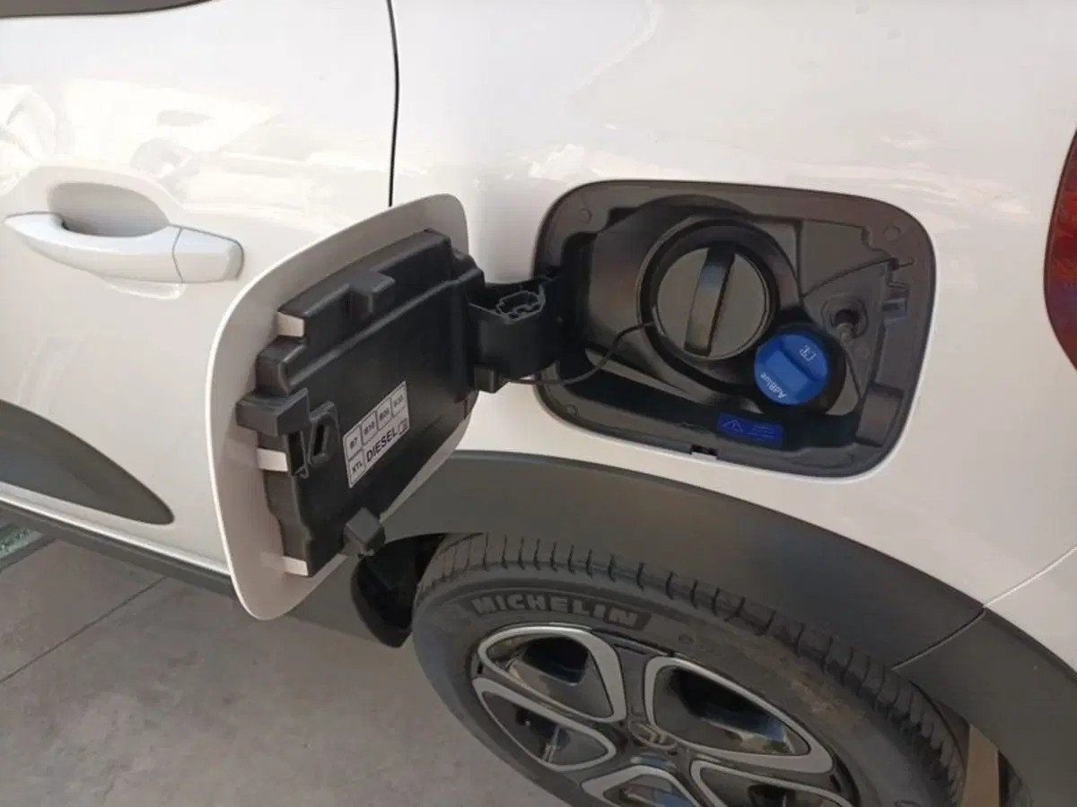 Citroen C3 usata a Bari (20)