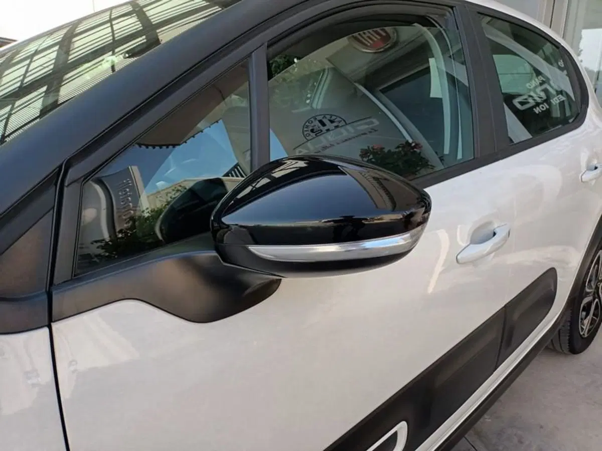 Citroen C3 usata a Bari (7)