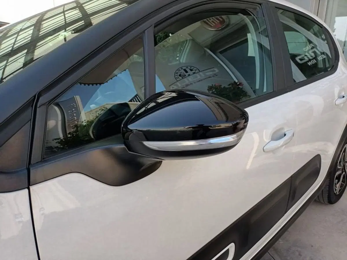 Citroen C3 usata a Bari (8)