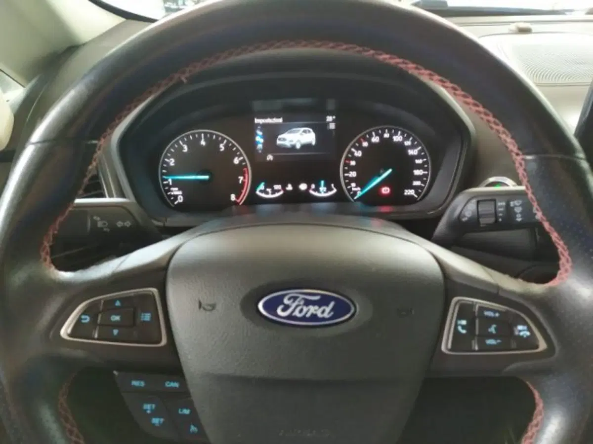 Ford EcoSport usata a Trieste (10)