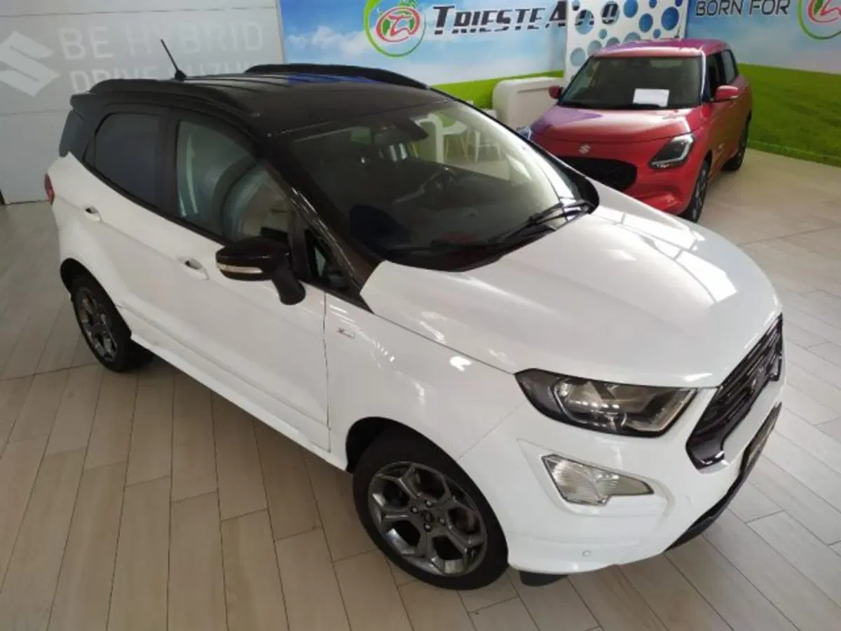 Ford EcoSport usata a Trieste (15)