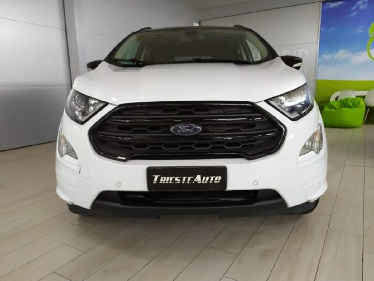 Ford EcoSport usata a Trieste (2)