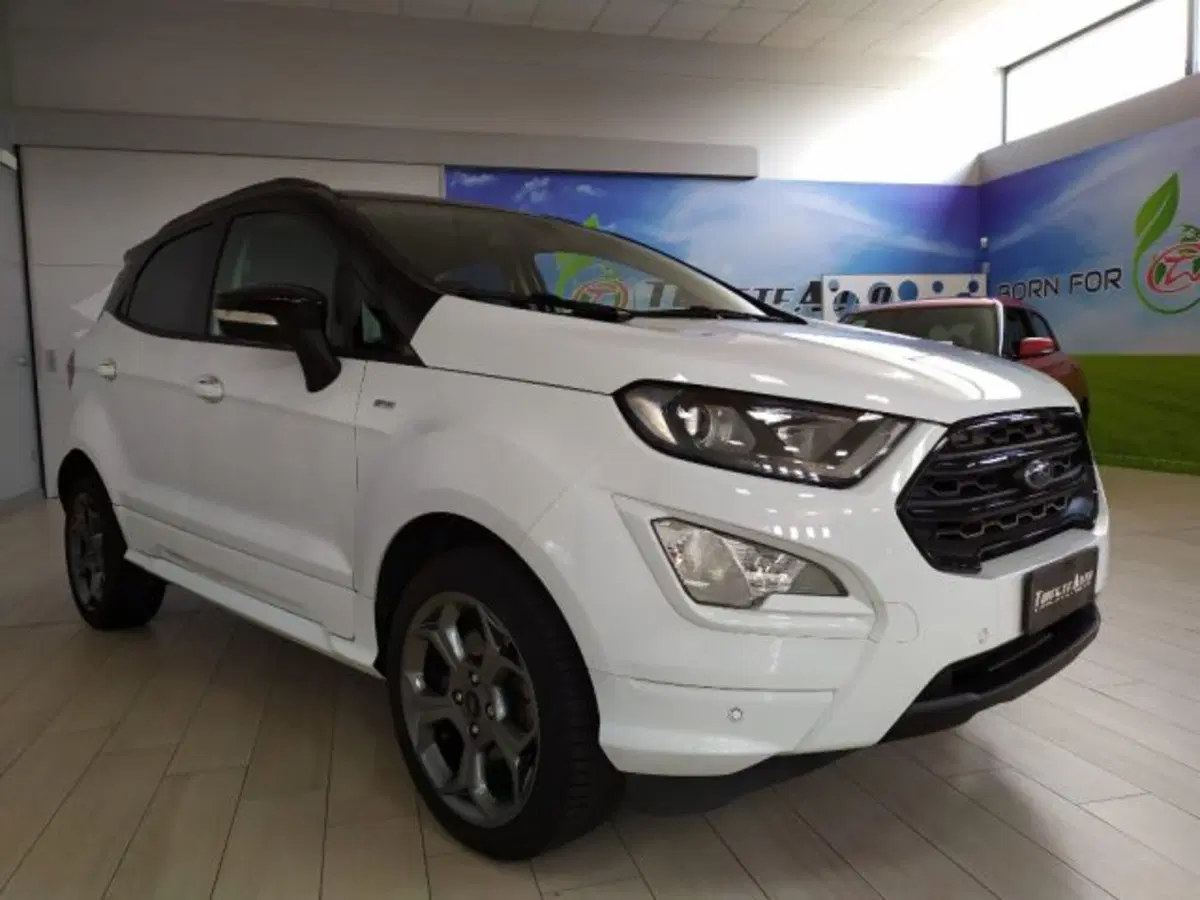 Ford EcoSport usata a Trieste (3)