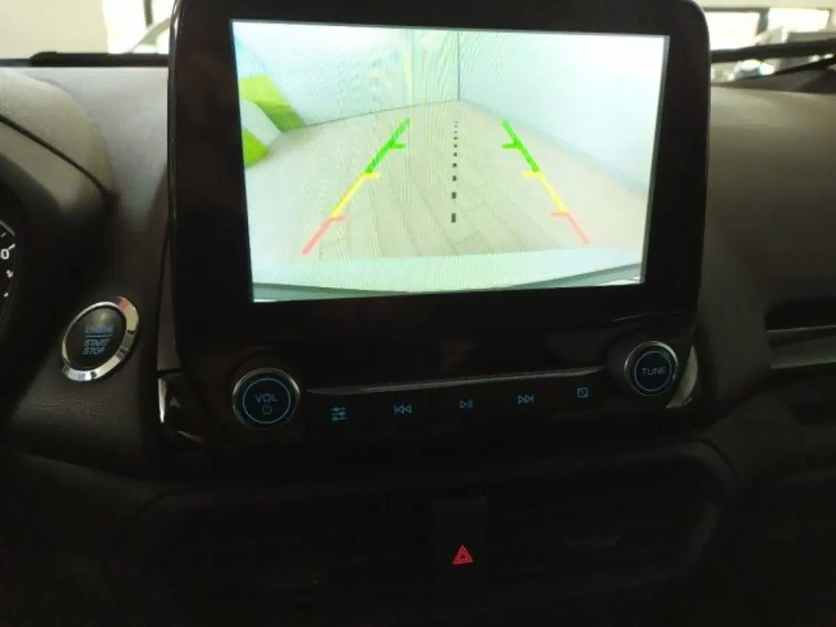 Ford EcoSport usata a Trieste (7)