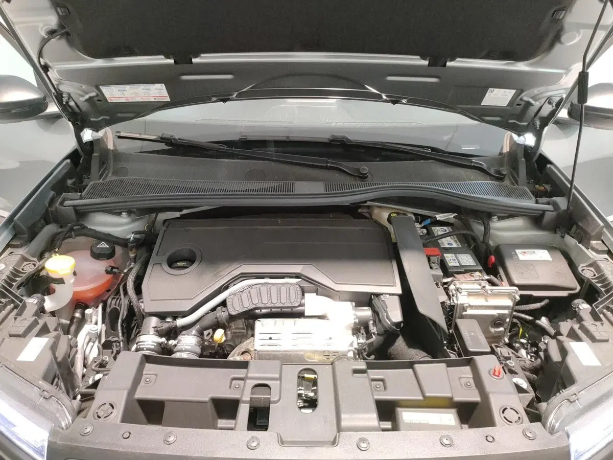 Jeep Avenger nuova a Macerata (10)