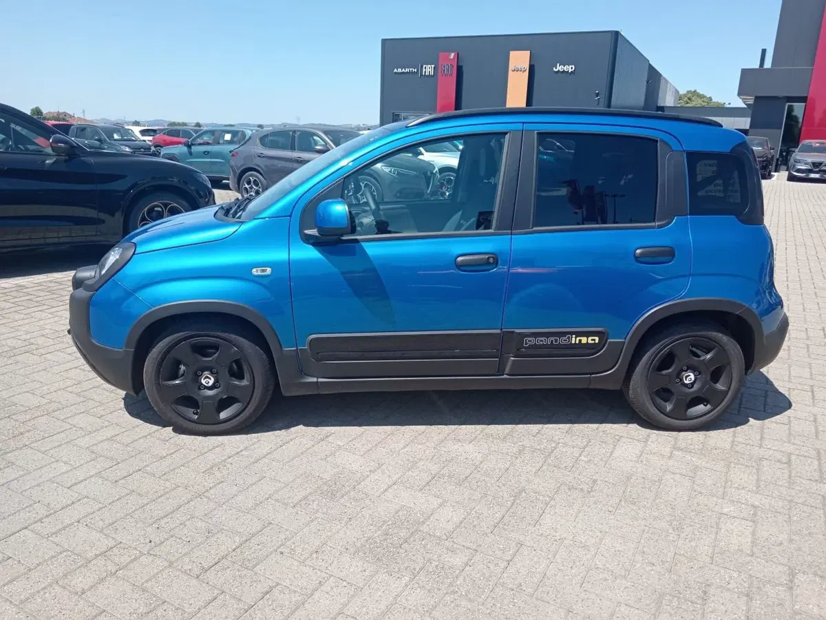Fiat Panda Cross usata a Alessandria (10)