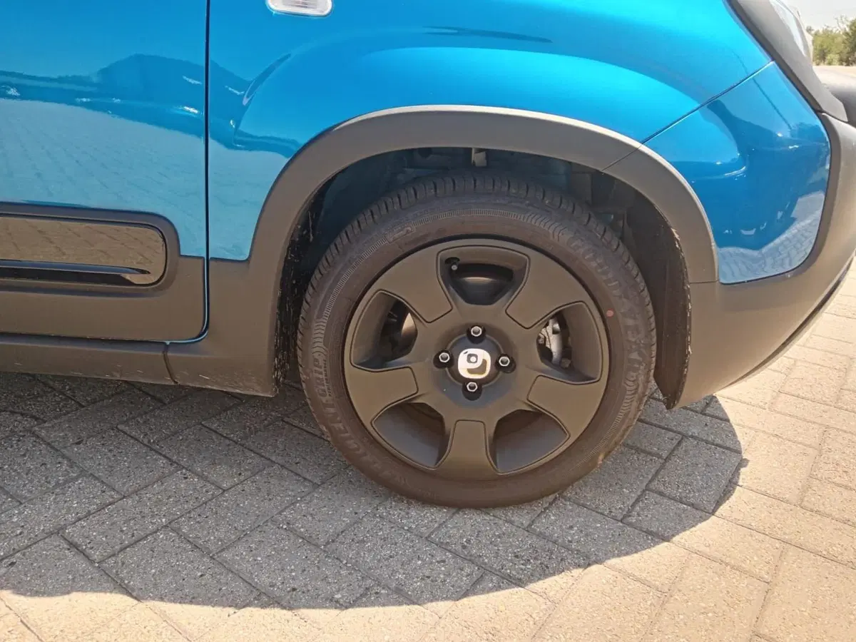 Fiat Panda Cross usata a Alessandria (11)