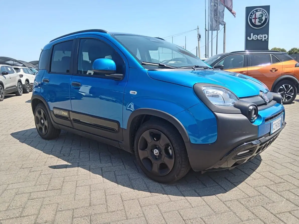Fiat Panda Cross usata a Alessandria (3)