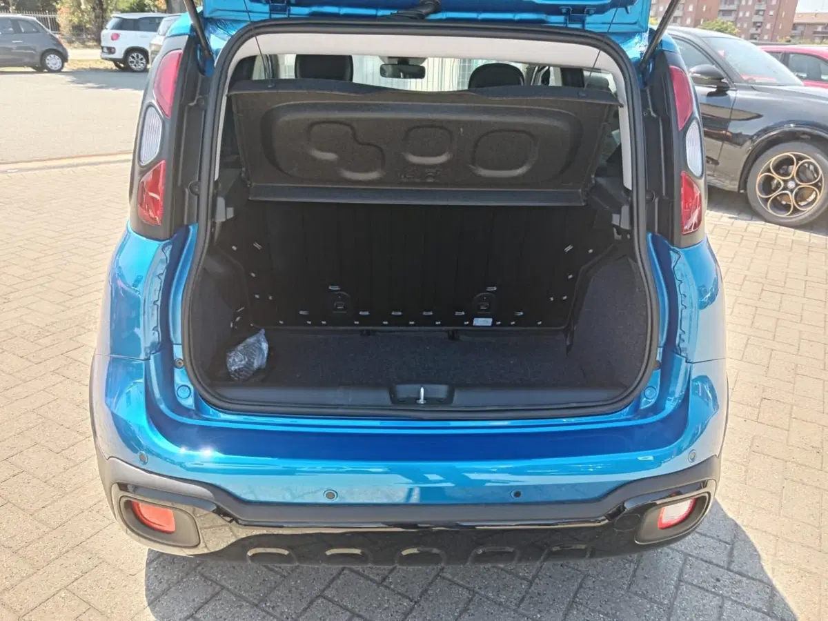 Fiat Panda Cross usata a Alessandria (8)