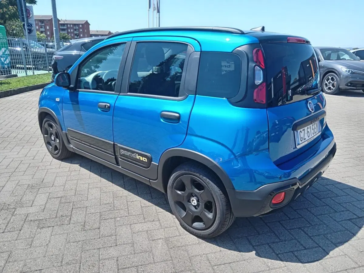 Fiat Panda Cross usata a Alessandria (9)
