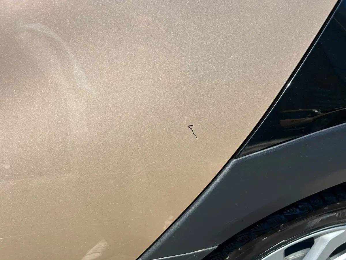 Toyota Aygo X usata a Piacenza (12)